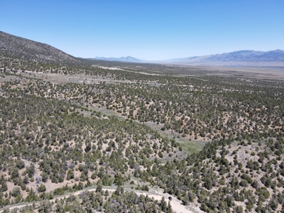 Ely, Nevada Residential Treed Mountain Land For Sale - image 1