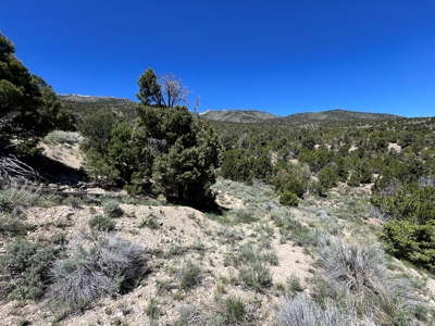 Ely, Nevada Residential Treed Mountain Land For Sale - image 2