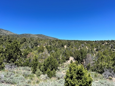 Ely, Nevada Residential Treed Mountain Land For Sale - image 9