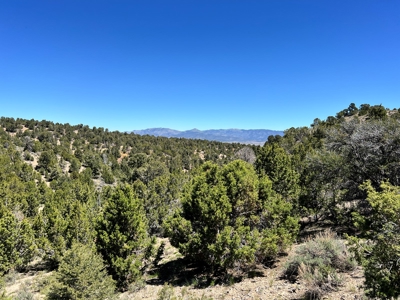 Ely, Nevada Residential Treed Mountain Land For Sale - image 5