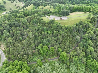 Country Home with Acreage for Sale in Christiansburg VA - image 38