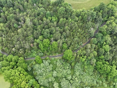 Country Home with Acreage for Sale in Christiansburg VA - image 39