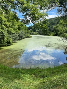 Country Home with Acreage for Sale in Christiansburg VA - image 44