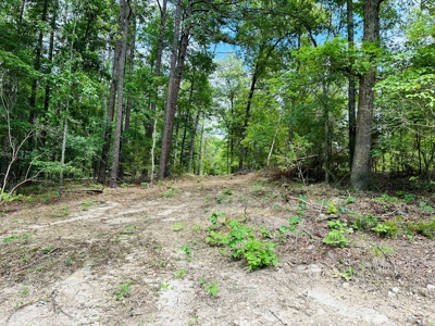 Hunting Land For Sale In Arkansas - image 18