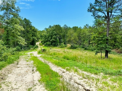 Hunting Land For Sale In Arkansas - image 15