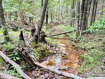 Hunting Land For Sale In Arkansas - image 23