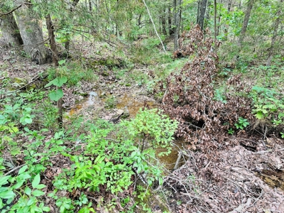Hunting Land For Sale In Arkansas - image 21