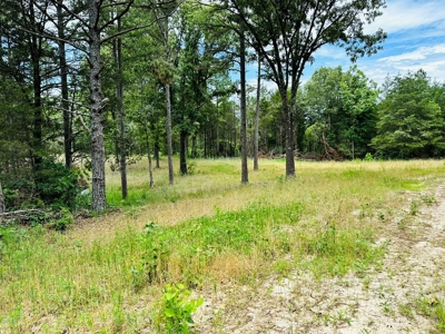 Hunting Land For Sale In Arkansas - image 16