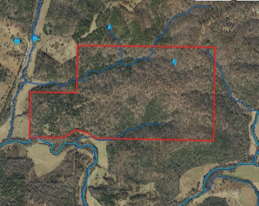 Hunting Land For Sale In Arkansas - image 2