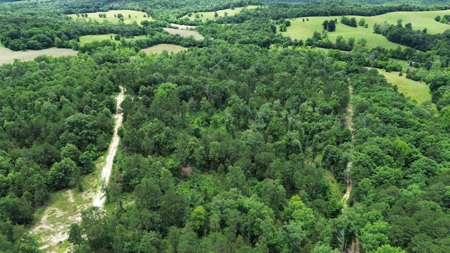 Hunting Land For Sale In Arkansas - image 6