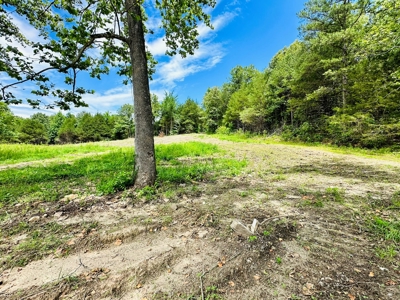 Hunting Land For Sale In Arkansas - image 13
