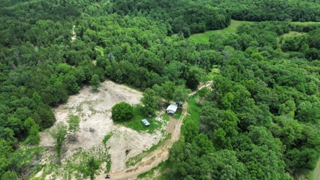 Hunting Land For Sale In Arkansas - image 1