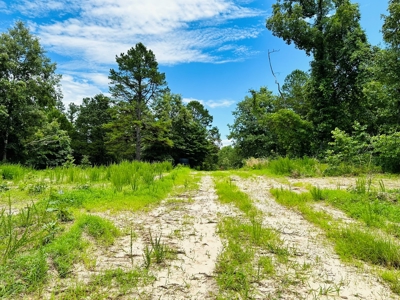 Hunting Land For Sale In Arkansas - image 14
