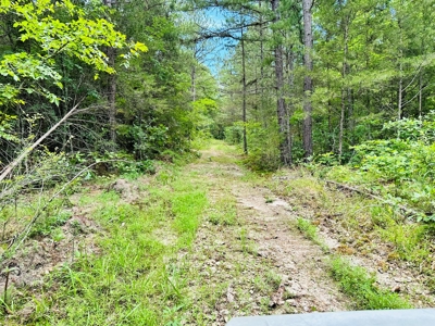 Hunting Land For Sale In Arkansas - image 19