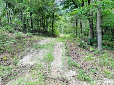Hunting Land For Sale In Arkansas - image 20