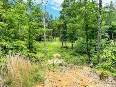 Hunting Land For Sale In Arkansas - image 22