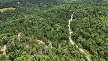 Hunting Land For Sale In Arkansas - image 4