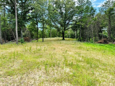 Hunting Land For Sale In Arkansas - image 17