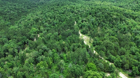 Hunting Land For Sale In Arkansas - image 5