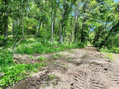 Hunting Land For Sale In Arkansas - image 9