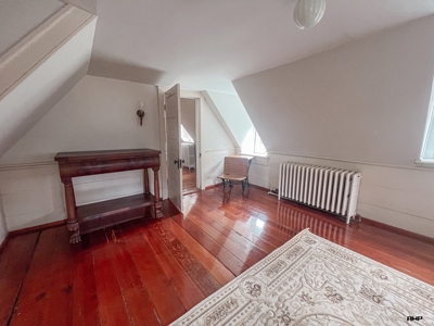 Move-In Ready 1858 Pre-Civil War Home with Modern Updates - image 20