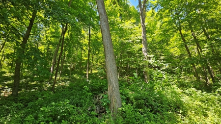 Hidden Valley Ranch on 5.5 acres For Sale Richland County - image 13