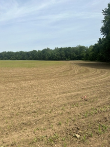 Johnson County Land For Sale - image 1