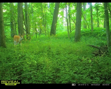 Johnson County Land For Sale - image 12