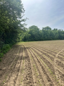 Johnson County Land For Sale - image 3