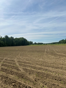 Johnson County Land For Sale - image 2
