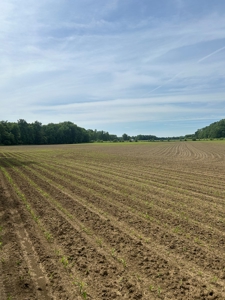 Johnson County Land For Sale - image 4