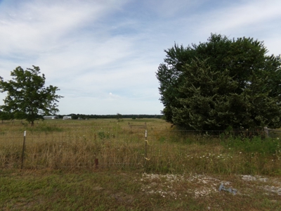 Country Home, 15+ Acres, Pattonville TX, Lamar County, NE TX - image 3