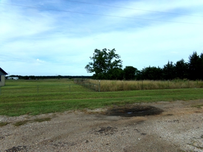 Country Home, 15+ Acres, Pattonville TX, Lamar County, NE TX - image 2