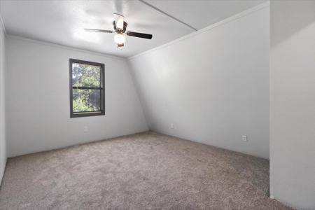Newly remodeled Country Home - image 24