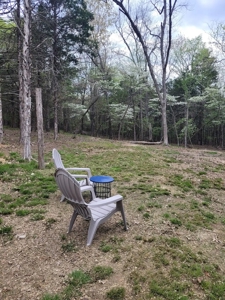 Hobby Farm on 11 Secluded Acres near Bull Shoals Lake - image 39