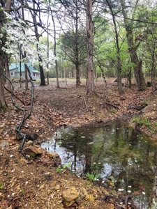 Hobby Farm on 11 Secluded Acres near Bull Shoals Lake - image 40