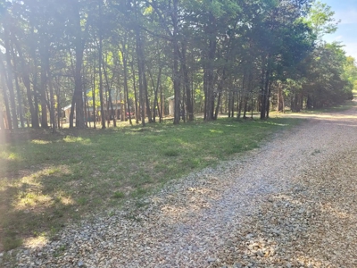 Hobby Farm on 11 Secluded Acres near Bull Shoals Lake - image 41