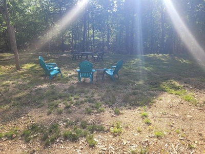 Hobby Farm on 11 Secluded Acres near Bull Shoals Lake - image 38