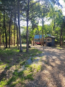 Hobby Farm on 11 Secluded Acres near Bull Shoals Lake - image 43
