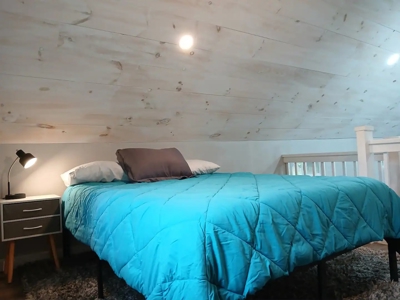 Hobby Farm on 11 Secluded Acres near Bull Shoals Lake - image 24