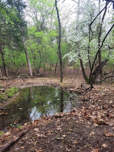 Hobby Farm on 11 Secluded Acres near Bull Shoals Lake - image 42