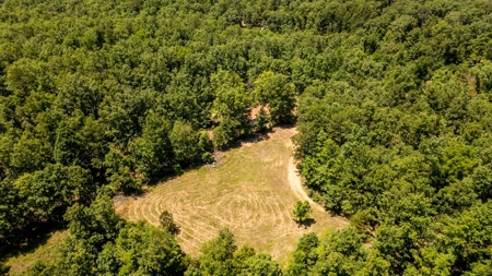 Hunting Property / Country Home with Acreage Oregon County - image 37