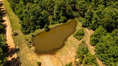 Hunting Property / Country Home with Acreage Oregon County - image 36