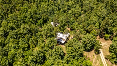 Hunting Property / Country Home with Acreage Oregon County - image 35