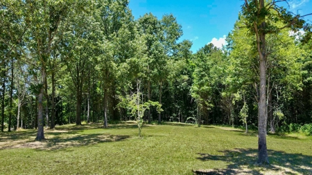 5 Acres for Sale in Gibson County, TN – Prime Location - image 3