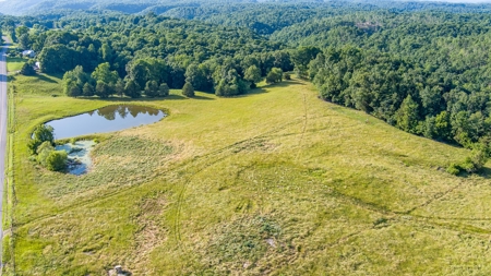 Hunting Land in Burkesville, Kentucky - image 15