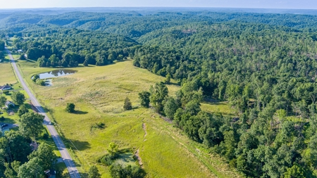 Hunting Land in Burkesville, Kentucky - image 14