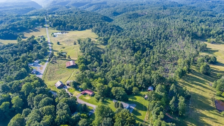 Hunting Land in Burkesville, Kentucky - image 5