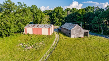 Hunting Land in Burkesville, Kentucky - image 12