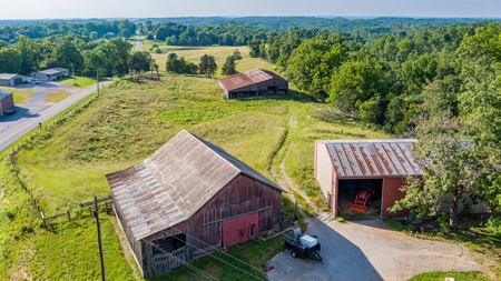 Hunting Land in Burkesville, Kentucky - image 17